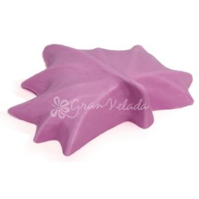 Moisissure de feuilles d’automne pour la fabrication de savon
