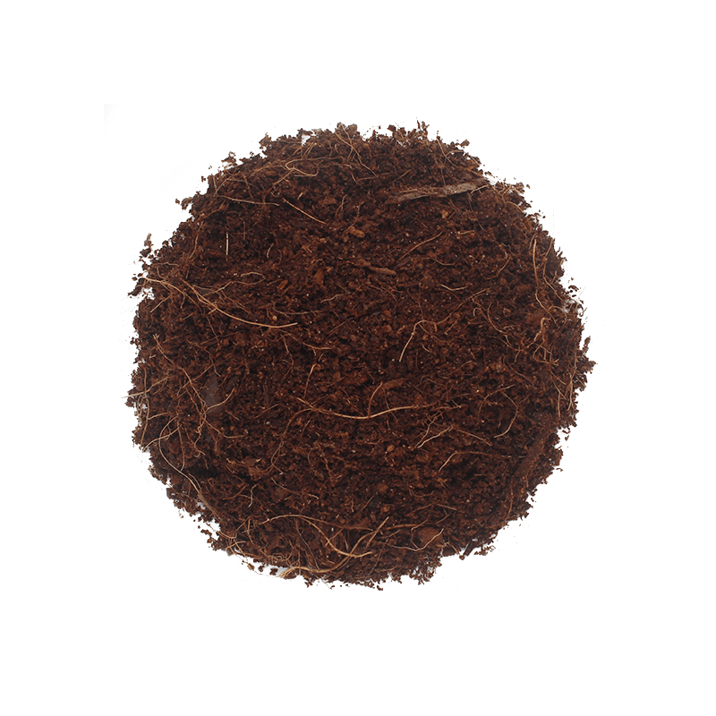 En Gran Velada puedes comprar fibra de coco natural. Se trata de fibra de coco deshidratada que podras usar para hacer exfoliant