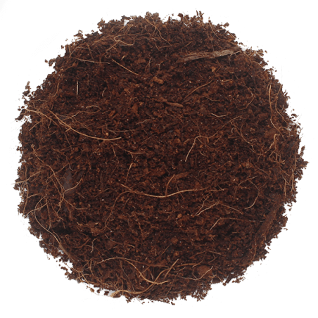 En Gran Velada puedes comprar fibra de coco natural. Se trata de fibra de coco deshidratada que podras usar para hacer exfoliant