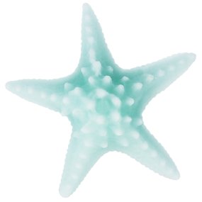 Molde para fazer sabão "Estrela de Mar grande".