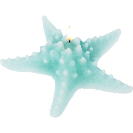 Molde de Gran Velada para hacer manualidades con la forma de una estrella de mar de 5 brazos y unas medidas de 13 cm. de diametr