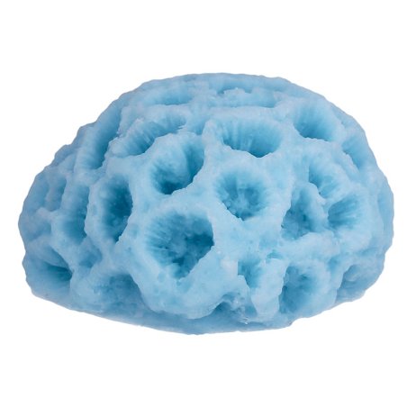 En Gran Velada puedes comprar moldes para manualidades, como este en forma de coral de mar mini. Es de silicona, muy fácil de us