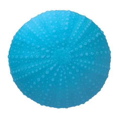 Descubre en Gran Velada divertidos moldes de silicona para manualidades, como este adorable molde de esponja de mar mini. ¡Envío
