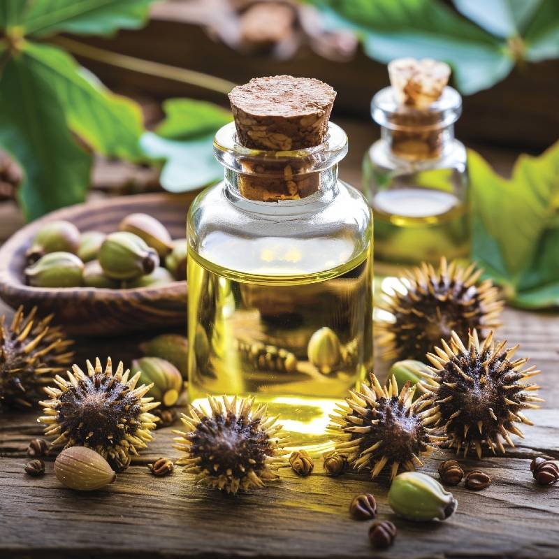 Aceite de Castor venta a granel. Tienda online de aceites y mantecas al por mayor y menor. Gran Variedad de aceites de todo tipo