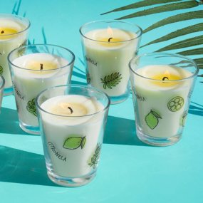 Kit comment faire des bougies à la citronnelle. Matériel et instructions