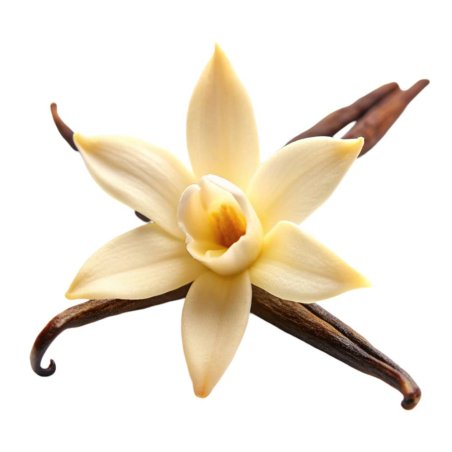 Compra extracto de vainilla oleoso en Gran Velada. Propiedades antioxidantes y suavizantes, ideal para cremas, pomadas y product