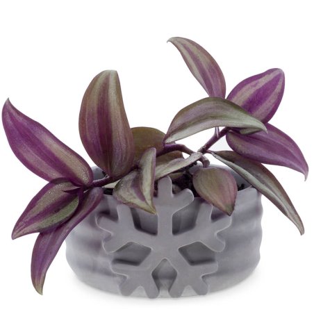 Descubre el molde copo de nieve para macetas de cemento en Gran Velada. Ideal para crear maceteros DIY con diseño único. ¡Compra
