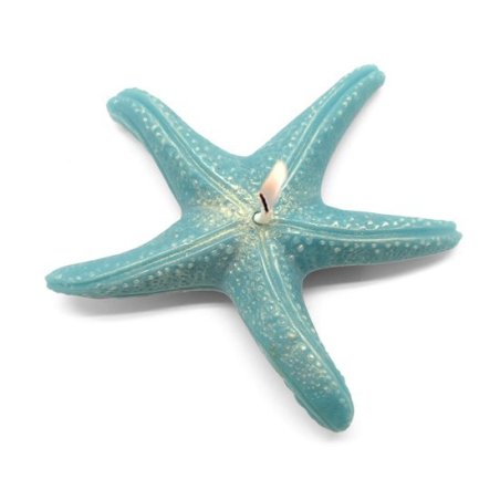 Molde para fabricar tus propias velas Estrella para decorar con ambiente marino. En Gran Velada encontrarás todo tus materiales 