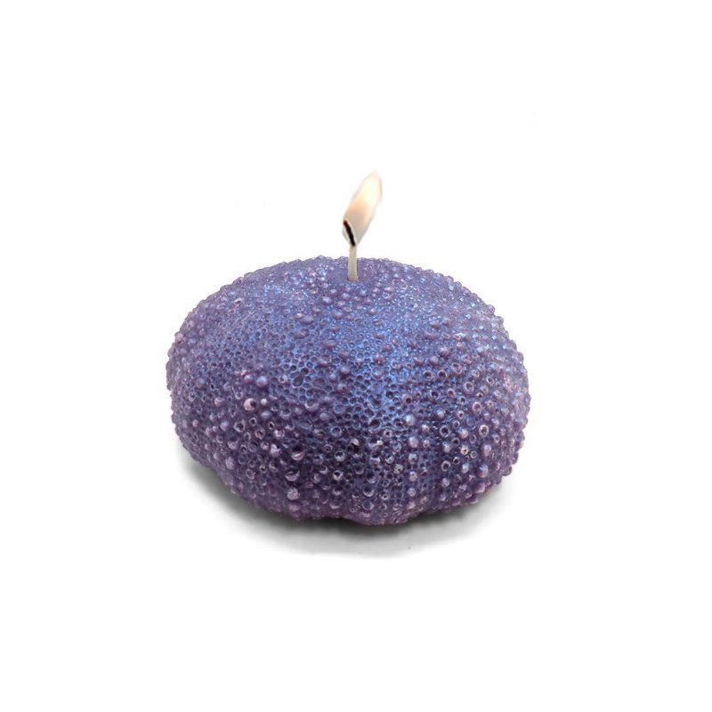 Descubre en Gran Velada el molde de silicona perfecto para crear velas con diseño de esponja marina. ¡Alta calidad y mejor preci