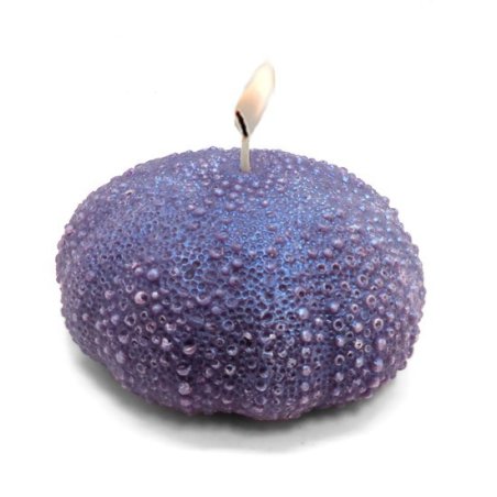 Descubre en Gran Velada el molde de silicona perfecto para crear velas con diseño de esponja marina. ¡Alta calidad y mejor preci