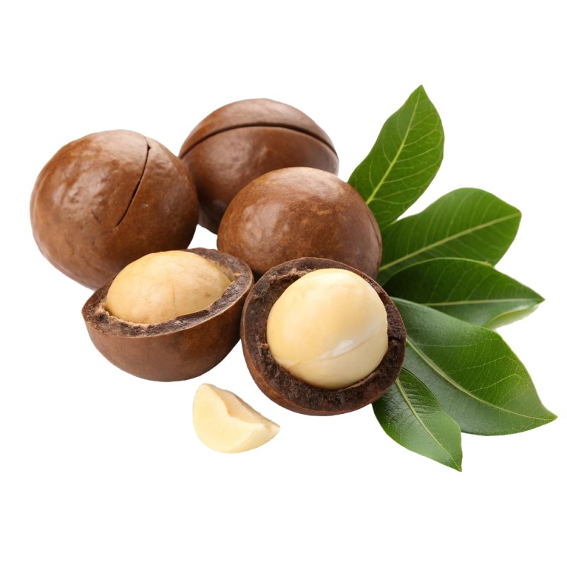 Descubre la Esencia aromática coco-karité en fragancias exóticas. Ideal para perfumar jabones, velas y más. Compra ahora en Gran