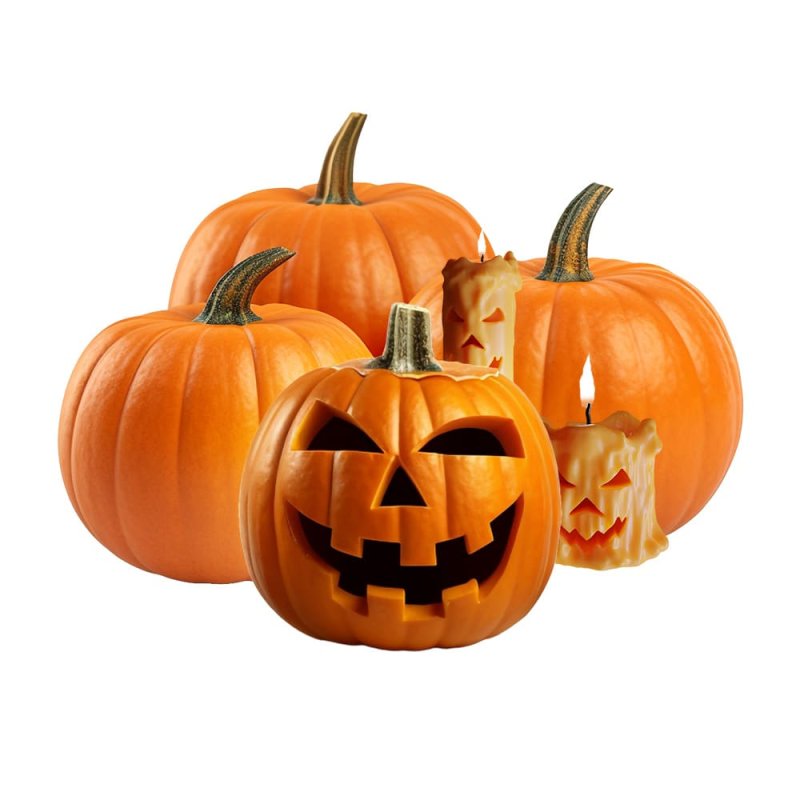 Descubre la esencia aromática escalofríos en Gran Velada. Fragancia refrescante y cítrica, ideal para Halloween. ¡Compra ahora! 