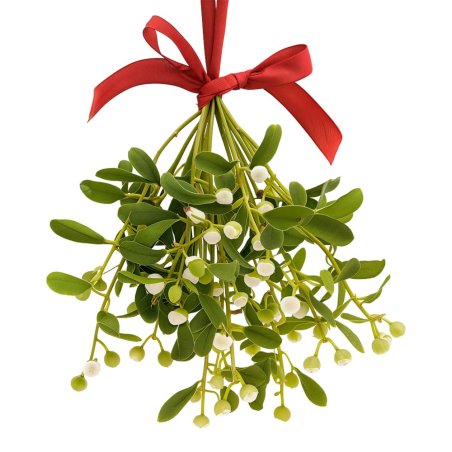 Descubre Esencia Aromática Muérdago en fragancias navideñas. Ideal para velas, jabones y perfumes DIY. Compra ahora en Gran Vela