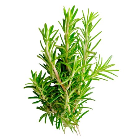 En Gran Velada puedes comprar aceite esencial de romero. Es ideal para hacer productos para el pelo. Calidad y buen precio. Enví