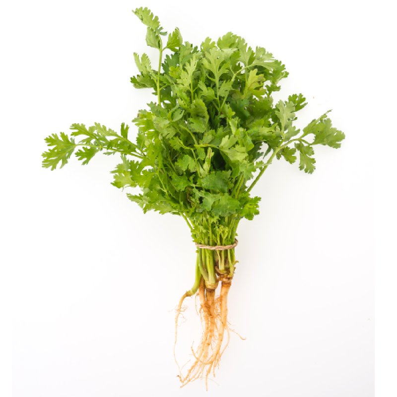 Aceite esencial de cilantro con propiedades antisépticas y antiiflamatorias para hacer productos para la piel y para aromaterapi