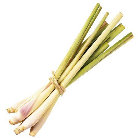 Descubre el poder del aceite esencial de lemongrass: ahuyenta insectos, calma inflamaciones, limpia y cicatriza la piel, ¡y actú