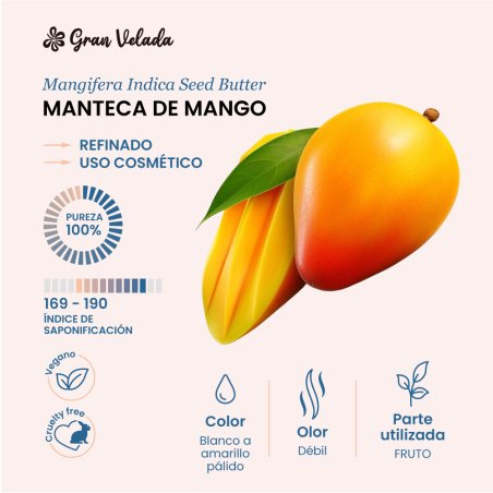 ¡Descubre la mejor manteca de mango para tus cremas y jabones! Aprovecha nuestro precio imbatible y recibe tu pedido en 48/72 ho