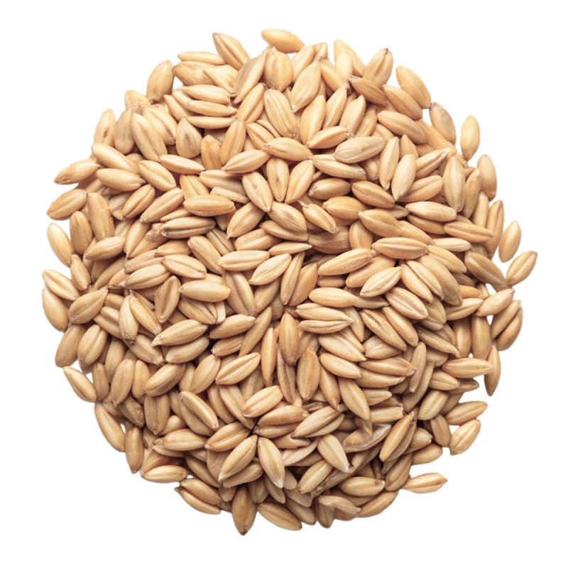 En nuestra web puedes comprar aceite de germen de trigo para hacer cremas y cosméticos tratantes para la caída del cabello. Enví