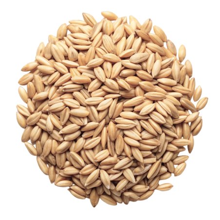 En nuestra web puedes comprar aceite de germen de trigo para hacer cremas y cosméticos tratantes para la caída del cabello. Enví