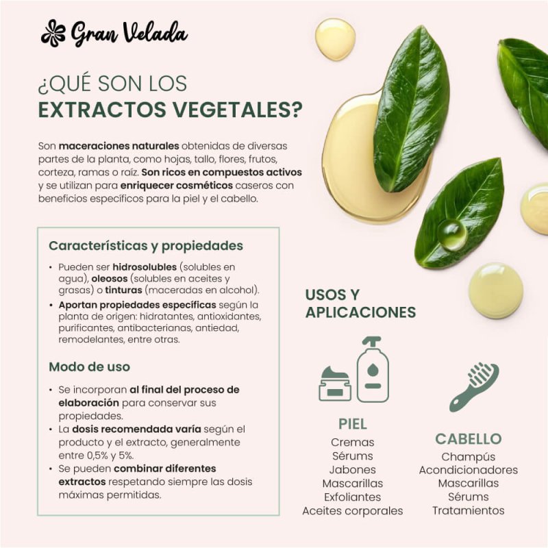 Extracto oleoso de harpagofito. Calma y purifica pieles irritadas o grasas. Ideal para pomadas y aceites. ¡Disponible en Gran Ve