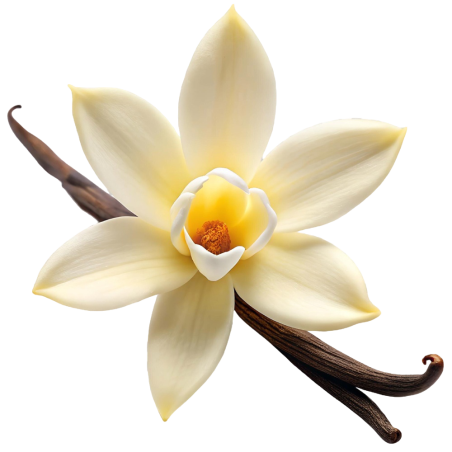 Base vegetal para aceite de masaje de vainilla. Nutre y suaviza la piel. Personalízala con esenciales. ¡Descúbrela en Gran Velad