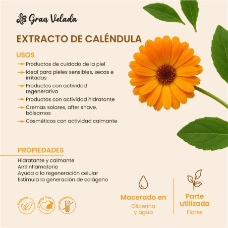 En Gran Velada puedes comprar extracto de calendula para la piel con acción calmante e hidratante. ¡Calidad y buen precio! Envío