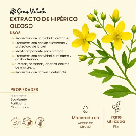 En Gran Velada puedes comprar extracto de hiperico oleoso con acción hidratante, suavizante y purificante. Calidad y buen precio