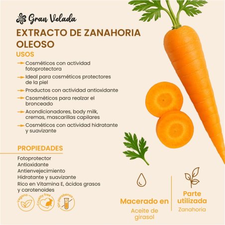 ðŸ¥•Extracto de Zanahoria oleoso, extracto vegetal de zanahoria en aceite, un extracto vegetal cosmetico para elaborar tus propi