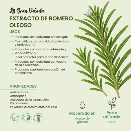 Extracto de romero oleoso para cosmética. Compra en Gran Velada con un amplio catálogo y envíos rápidos. - Cómo hacer Extractos 