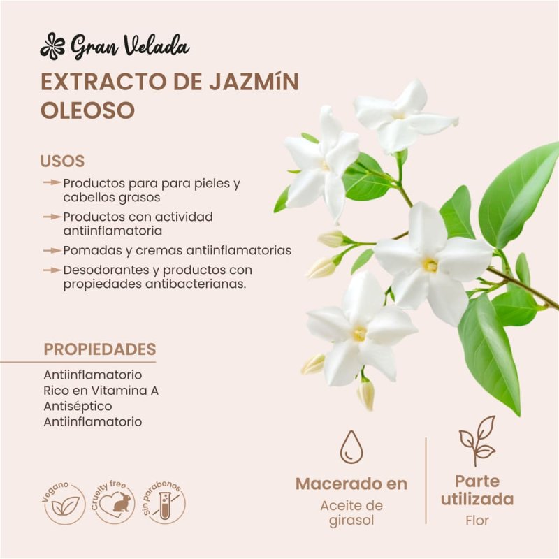 Extracto de té negro jazmín oleoso - Antioxidante y tonificante. Ideal para pieles apagadas o maduras. ¡Compra ahora en Gran Vel