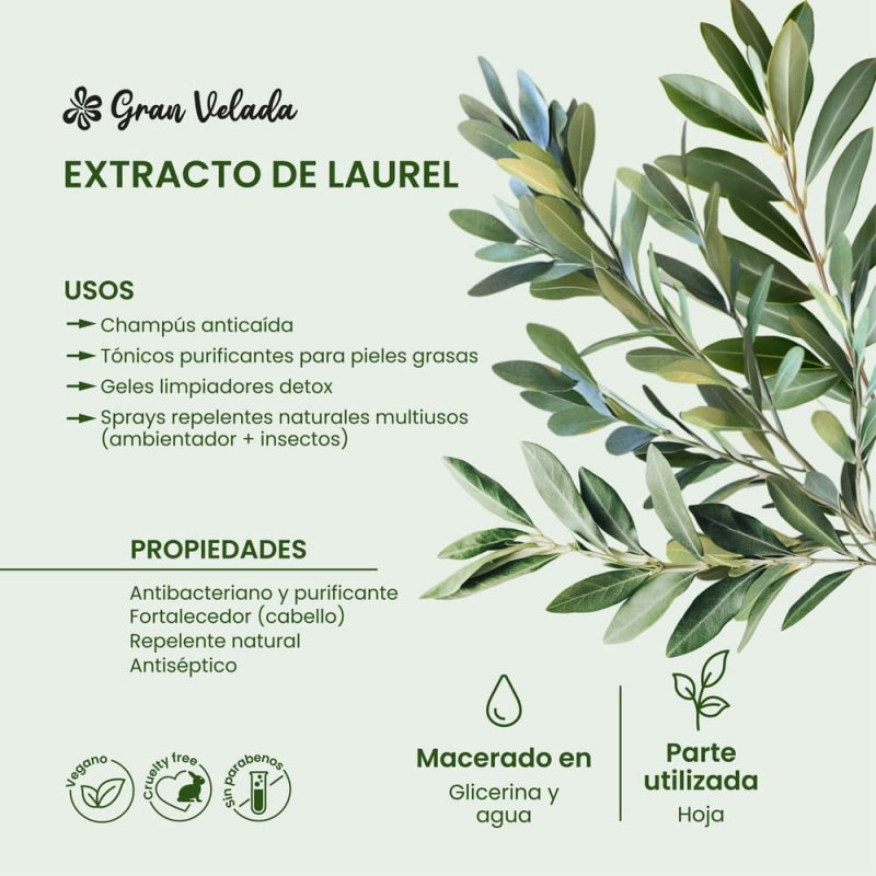 Extracto de laurel para tus elaboraciones cosméticas. Ingredientes de calidad a buen precio en Gran Velada, con envíos rápidos. 