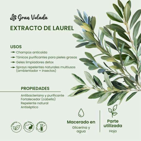 Extracto de laurel para tus elaboraciones cosméticas. Ingredientes de calidad a buen precio en Gran Velada, con envíos rápidos. 
