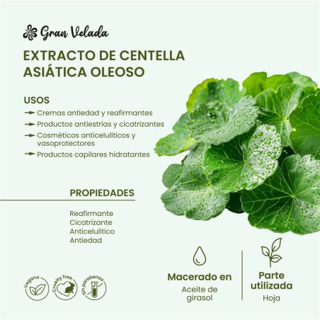 Para disfrutar de los beneficios del extracto de centella asiatica, hazte con este producto de Gran Velada y añadelo a tus cosme