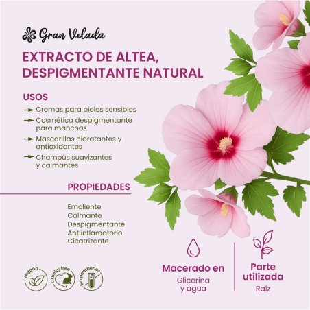Extracto de altea eco para hacer productos despigmentantes, antiinflamatorios y cicatrizantes. Es hidrosoluble. ¡Muy fácil de us