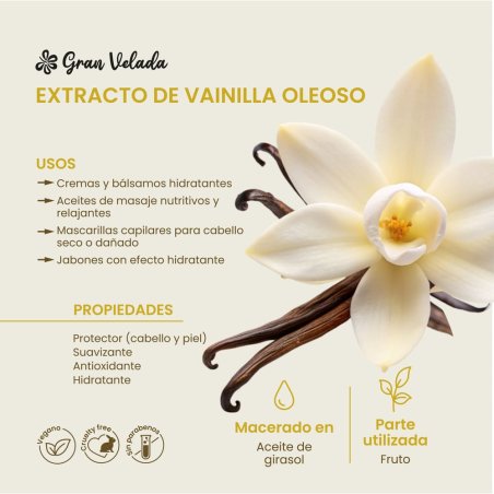 Compra extracto de vainilla oleoso en Gran Velada. Propiedades antioxidantes y suavizantes, ideal para cremas, pomadas y product