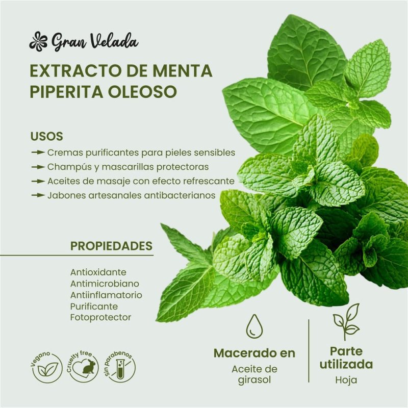 Compra extracto oleoso de menta piperita en Gran Velada. Purificante, antioxidante y protector capilar, ideal para pieles grasas