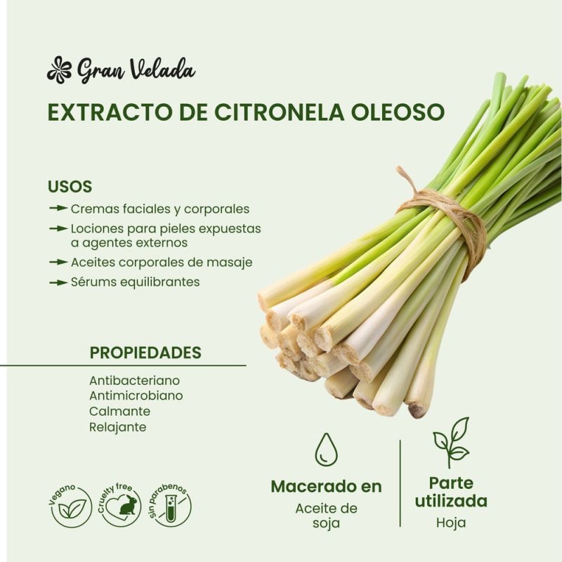 Compra extracto oleoso de citronela en Gran Velada. Ideal para cosmética natural, con propiedades antibacterianas y calmantes. P