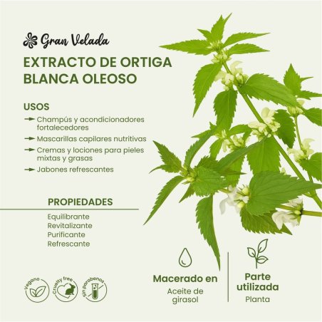 Conoce el extracto oleoso de ortiga blanca en Gran Velada. Ayuda a fortalecer el cabello y equilibrar la piel. Compra ahora y de