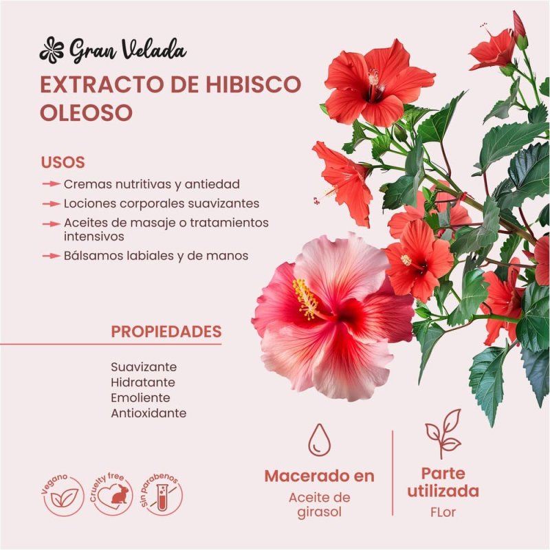 Hidrata y revitaliza tu piel con extracto oleoso de hibisco. Ideal para cremas y bálsamos naturales. ¡Consíguelo en Gran Velada!