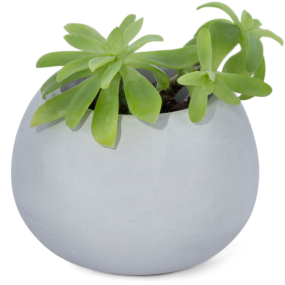 Molde maceta de cemento basic 9 cm