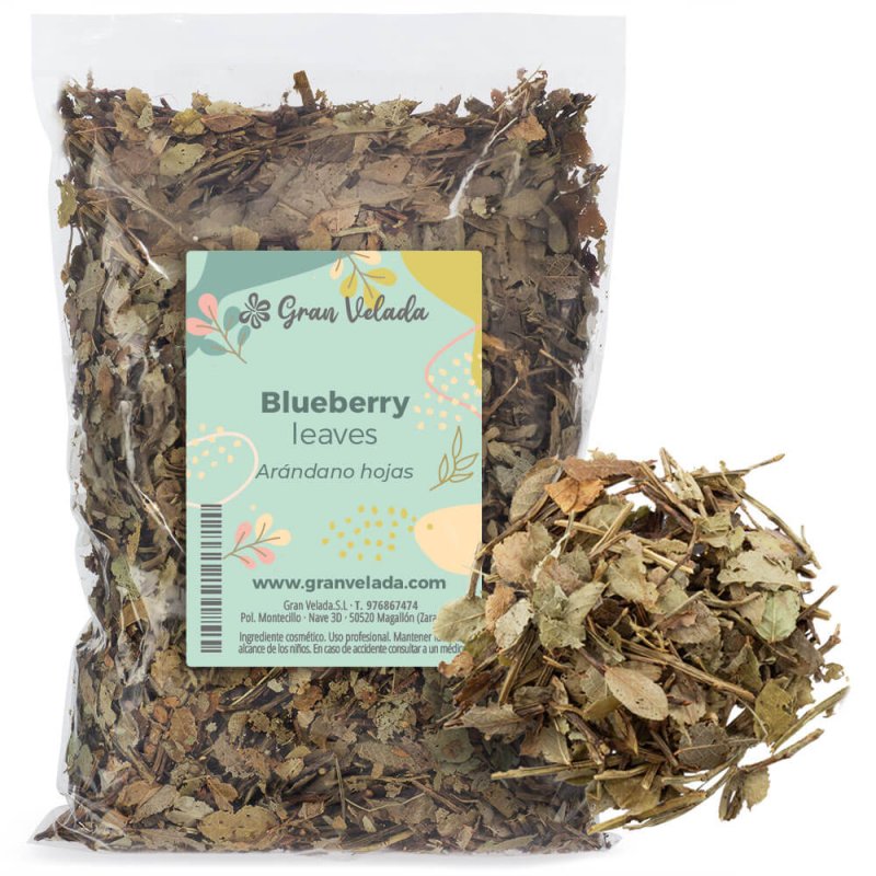 Descubre Arándano hojas en Gran Velada. Planta seca antioxidante y astringente ideal para cosmética natural. ¡Compra ahora! - Có
