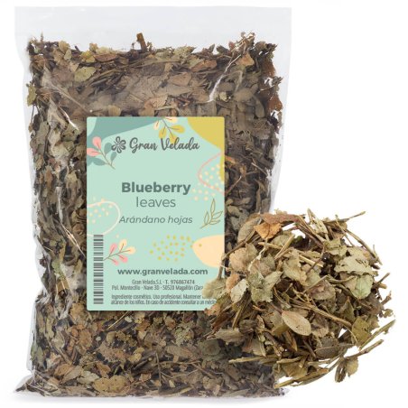 Descubre Arándano hojas en Gran Velada. Planta seca antioxidante y astringente ideal para cosmética natural. ¡Compra ahora! - Có