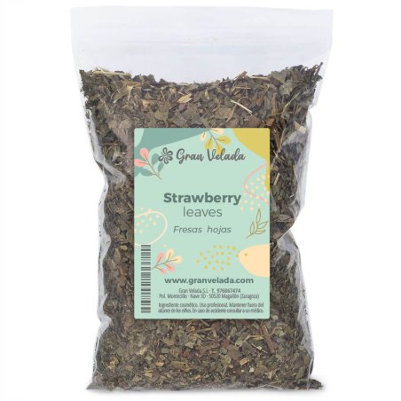Descubre Fresa hojas en Gran Velada. Planta seca con acción astringente y antioxidante ideal para cosmética casera. ¡Compra ahor