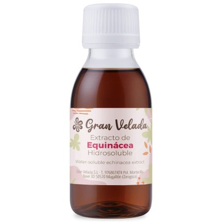 Descubre Extracto hidrosoluble de equinácea en Gran Velada. Calma, revitaliza y refuerza pieles sensibles o reactivas. ¡Compra a