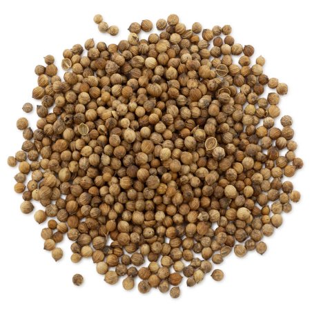 Coriandro semillas secas. Ingrediente natural ideal para cosmética artesanal, con aroma especiado y propiedades tonificantes. ¡C