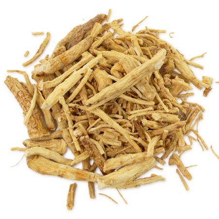 Ginseng Panax raíz seca. Ingrediente natural revitalizante y reafirmante, ideal para cosmética antiedad y capilar tonificante. ¡