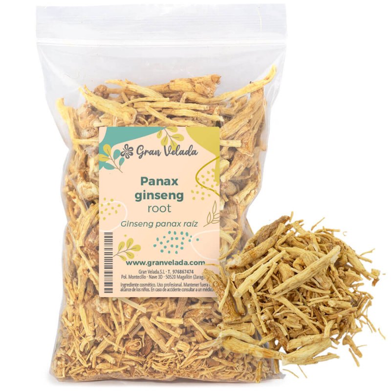 Ginseng Panax raíz seca. Ingrediente natural revitalizante y reafirmante, ideal para cosmética antiedad y capilar tonificante. ¡