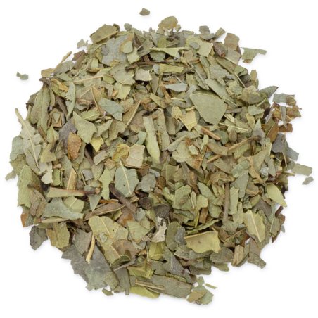 Boldo hojas secas. Ingrediente herbal para tónicos, geles, mascarillas y jabones DIY. Aporta un toque natural y equilibrante. ¡C