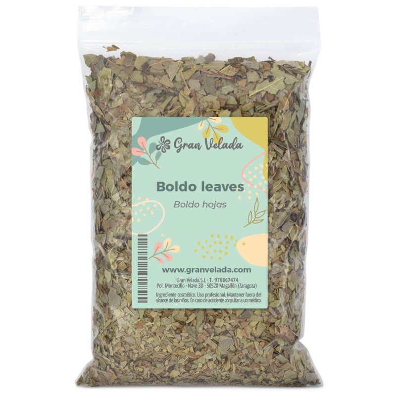 Boldo hojas secas. Ingrediente herbal para tónicos, geles, mascarillas y jabones DIY. Aporta un toque natural y equilibrante. ¡C