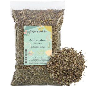 Ortosifão folhas